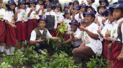 Hari Penanam Pohon Indonesia  Langkah Untuk Lestarikan Lingkungan Danau Toba